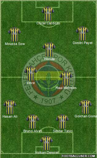 Fenerbahçe SK Formation 2013