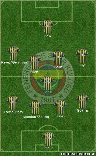 Fenerbahçe SK Formation 2013