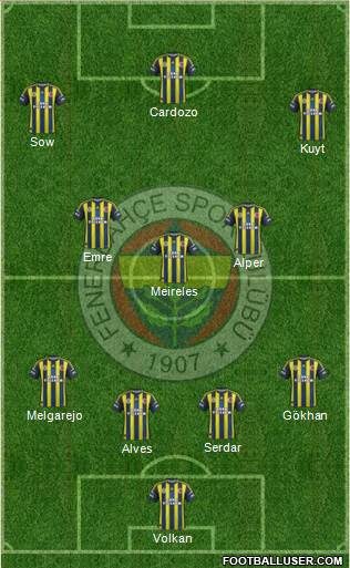 Fenerbahçe SK Formation 2013
