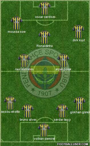 Fenerbahçe SK Formation 2013