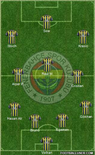 Fenerbahçe SK Formation 2013