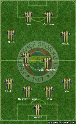 Fenerbahçe SK Formation 2013