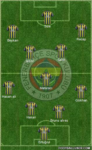 Fenerbahçe SK Formation 2013