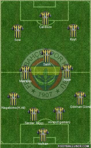 Fenerbahçe SK Formation 2013