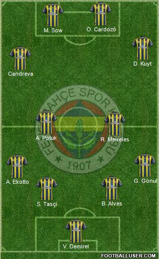 Fenerbahçe SK Formation 2013