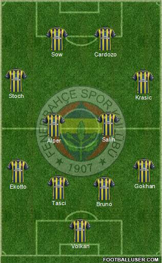 Fenerbahçe SK Formation 2013