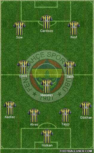 Fenerbahçe SK Formation 2013