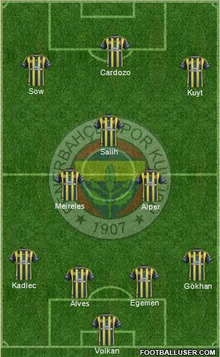 Fenerbahçe SK Formation 2013