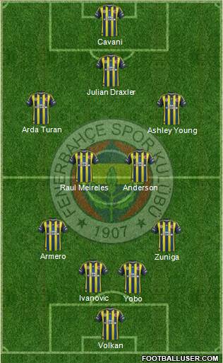 Fenerbahçe SK Formation 2013