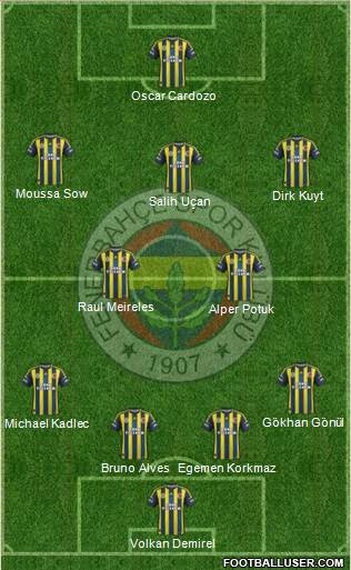 Fenerbahçe SK Formation 2013