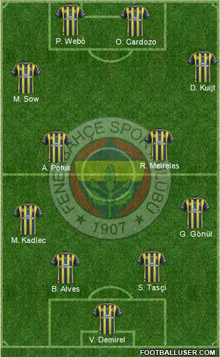 Fenerbahçe SK Formation 2013