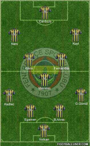 Fenerbahçe SK Formation 2013