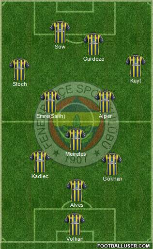 Fenerbahçe SK Formation 2013