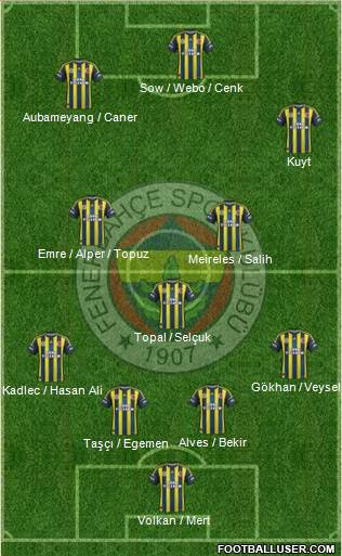 Fenerbahçe SK Formation 2013