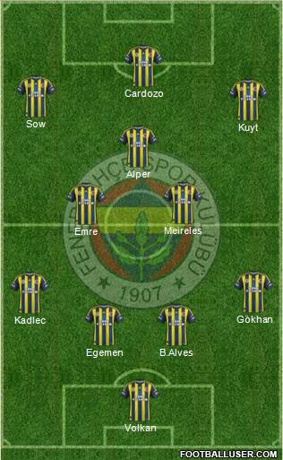 Fenerbahçe SK Formation 2013