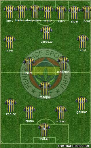 Fenerbahçe SK Formation 2013
