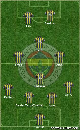 Fenerbahçe SK Formation 2013