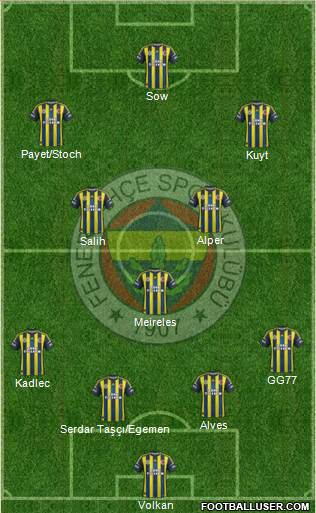Fenerbahçe SK Formation 2013