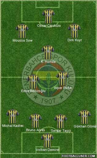 Fenerbahçe SK Formation 2013