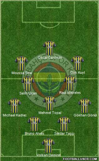 Fenerbahçe SK Formation 2013
