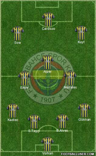 Fenerbahçe SK Formation 2013