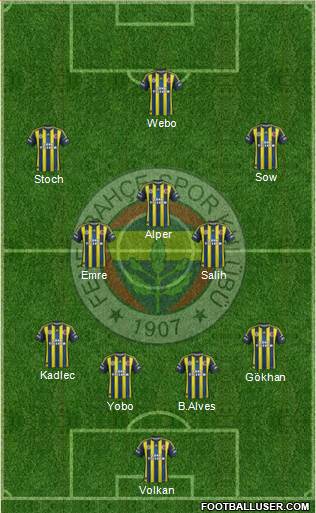 Fenerbahçe SK Formation 2013