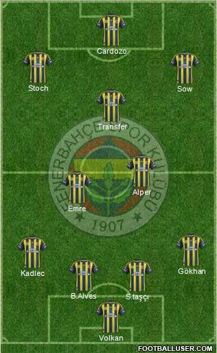 Fenerbahçe SK Formation 2013
