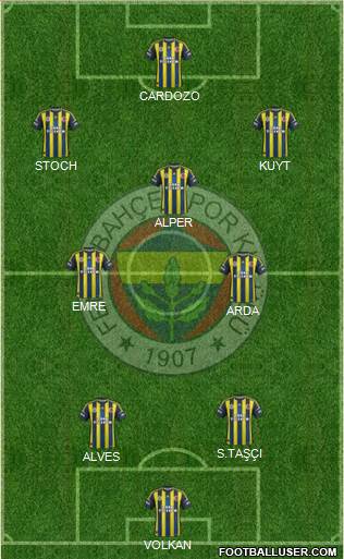 Fenerbahçe SK Formation 2013