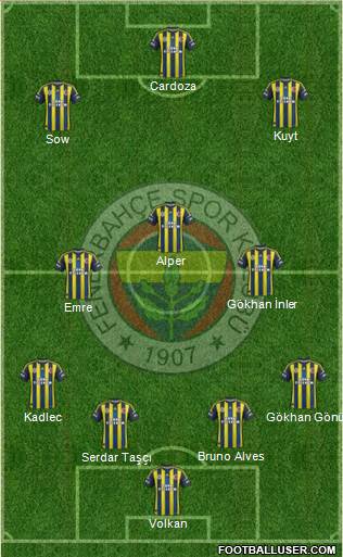 Fenerbahçe SK Formation 2013