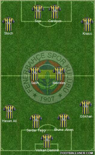 Fenerbahçe SK Formation 2013