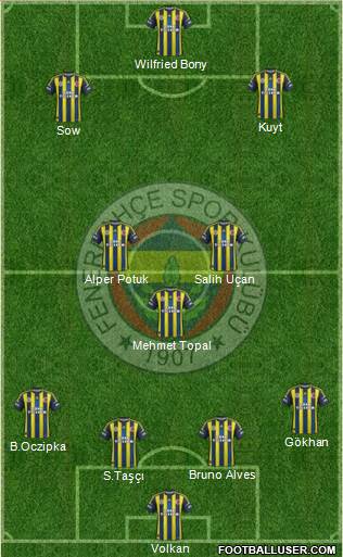 Fenerbahçe SK Formation 2013