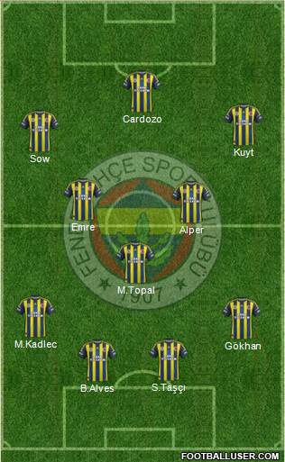 Fenerbahçe SK Formation 2013