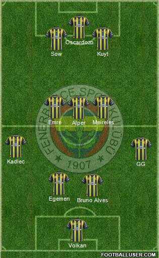 Fenerbahçe SK Formation 2013