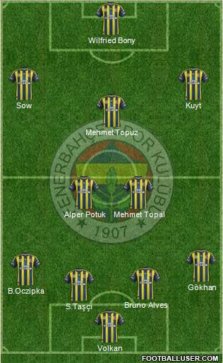 Fenerbahçe SK Formation 2013