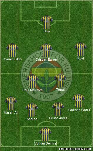 Fenerbahçe SK Formation 2013