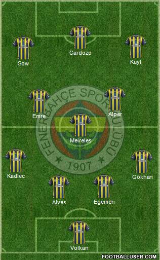 Fenerbahçe SK Formation 2013