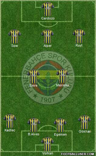 Fenerbahçe SK Formation 2013