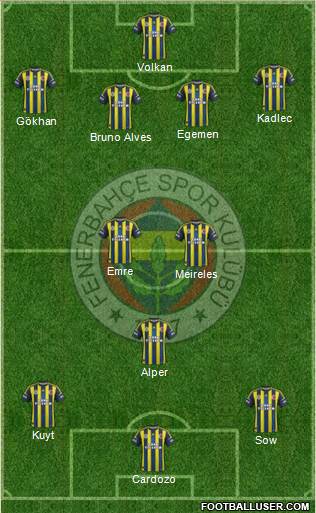 Fenerbahçe SK Formation 2013
