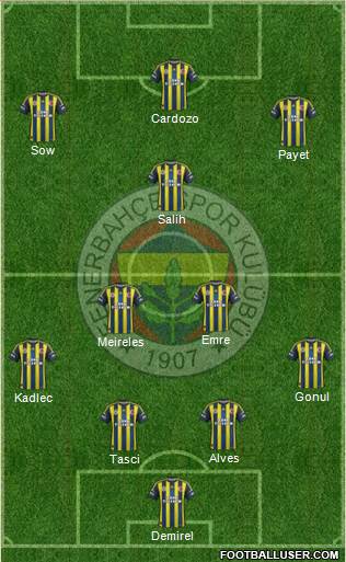 Fenerbahçe SK Formation 2013