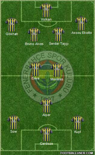 Fenerbahçe SK Formation 2013