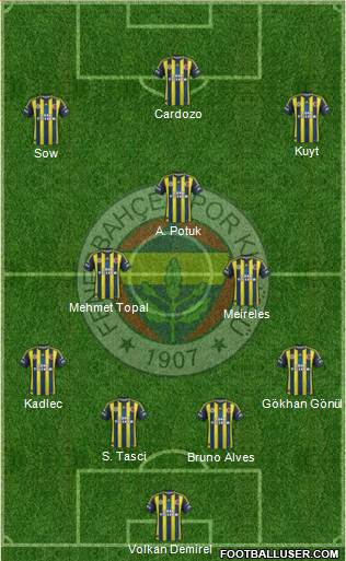 Fenerbahçe SK Formation 2013