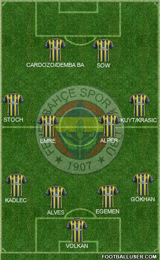 Fenerbahçe SK Formation 2013
