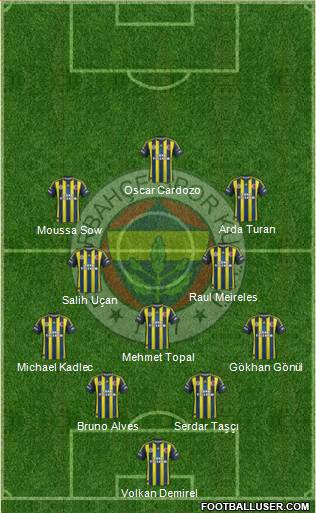 Fenerbahçe SK Formation 2013