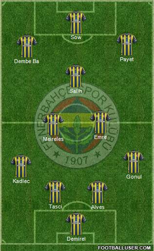 Fenerbahçe SK Formation 2013