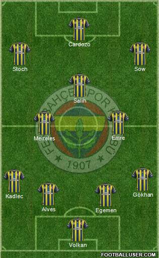 Fenerbahçe SK Formation 2013