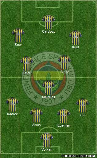 Fenerbahçe SK Formation 2013