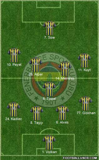 Fenerbahçe SK Formation 2013