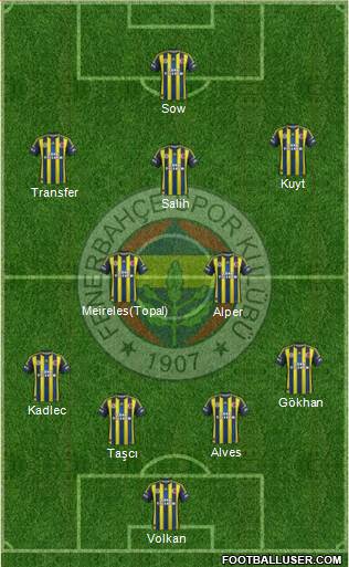 Fenerbahçe SK Formation 2013