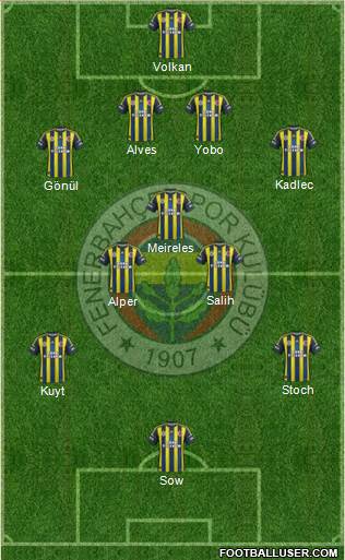 Fenerbahçe SK Formation 2013