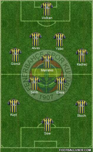 Fenerbahçe SK Formation 2013